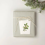 Holly mini enclosure notecard