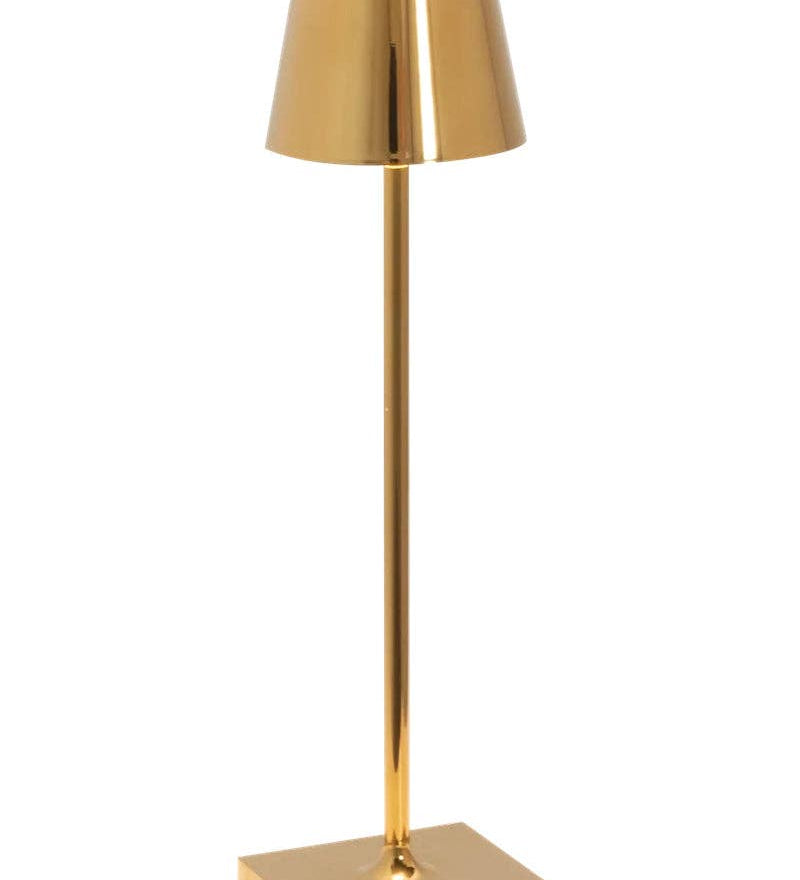 Poldina Pro Micro Cordless Lamp