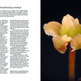 Botanical Bible