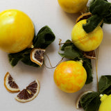 Lemon Moss and Peel Painted Ornament