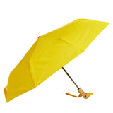 Umbrellas