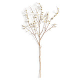 Quince Blossom Branches