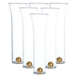 Golden Globe Champagne Set- 6