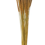 Dried Natural Goldenrod