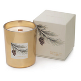 Siberian Fir Gold Wood Wick