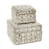 Shell Rectangle Boxes