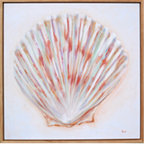 Satin Scallop