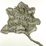 Botanical II