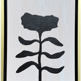 Monochrome Botanicals