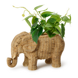 Elephant Planter