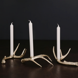 Western Antler Candlestick Set