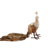Foam & Fabric Peacocks