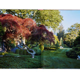 Inside the Hamptons