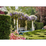 Inside the Hamptons