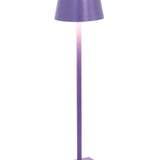 Poldina Pro Micro Cordless Lamp