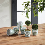 Imperial Mini Flower Pots