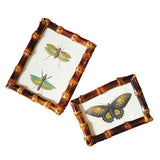 Bamboo Frame