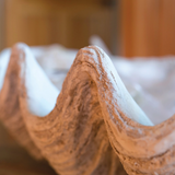 Magnesia Seashell / Clamshell
