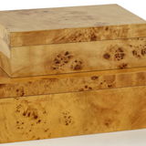 Leiden Burl Wood Design Box