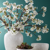 Quince Blossom Branches