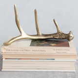 Antler, Gold Finish