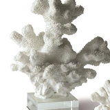 White Coral Sculptures