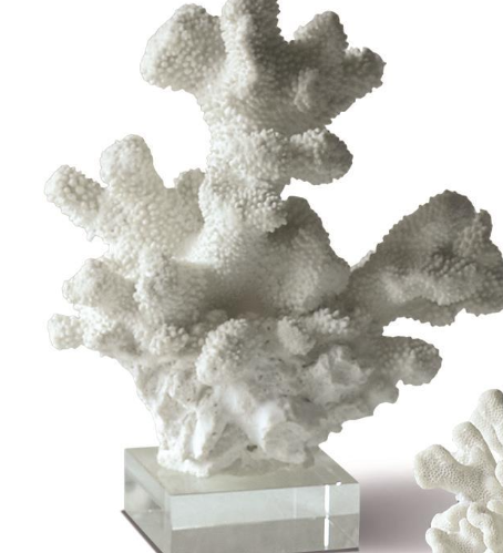 White Coral Sculptures