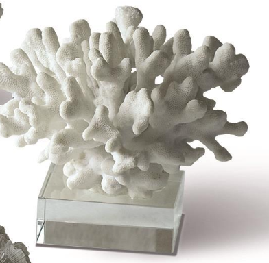 White Coral Sculptures