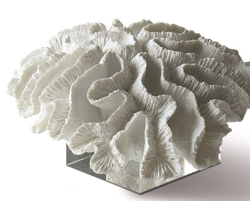 White Coral Sculptures